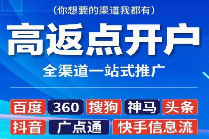 搜索引擎营销（SEM）的投放策略与效果评估——以某行业领先企业的案例分析