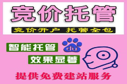 百度广告平台运营推广的技巧与趋势